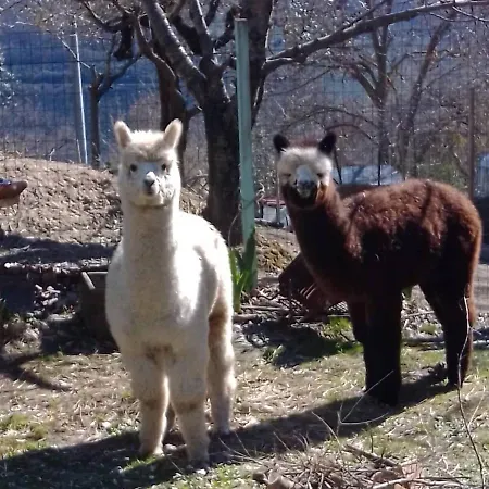 Bed and breakfast Il Sentiero Nel Bosco 3*