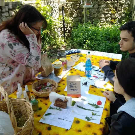 Bed & Breakfast Il Sentiero Nel Bosco *