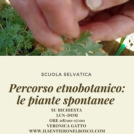 Il Sentiero Nel Bosco Oda ve Kahvaltı Foligno