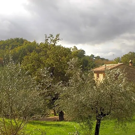 Il Sentiero Nel Bosco 3* Foligno