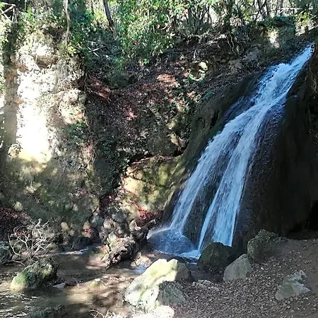 Il Sentiero Nel Bosco Oda ve Kahvaltı 3*