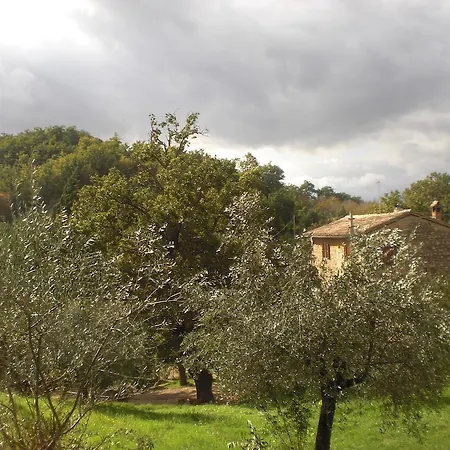 Il Sentiero Nel Bosco