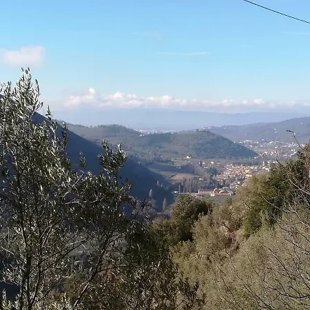 Il Sentiero Nel Bosco * Foligno