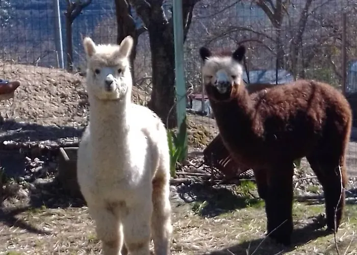 Bed and breakfast Il Sentiero Nel Bosco 3*