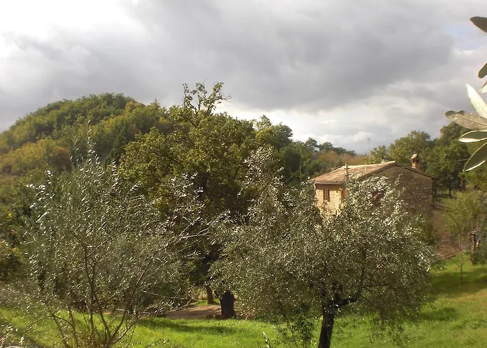 Il Sentiero Nel Bosco