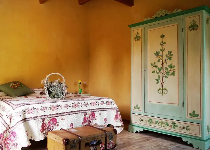 Il Sentiero Nel Bosco